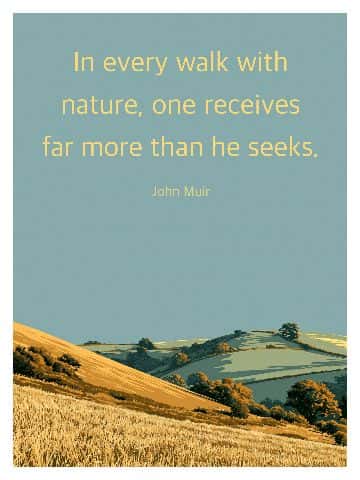 In every walk with nature, one receives far more than he seeks. — John Muir